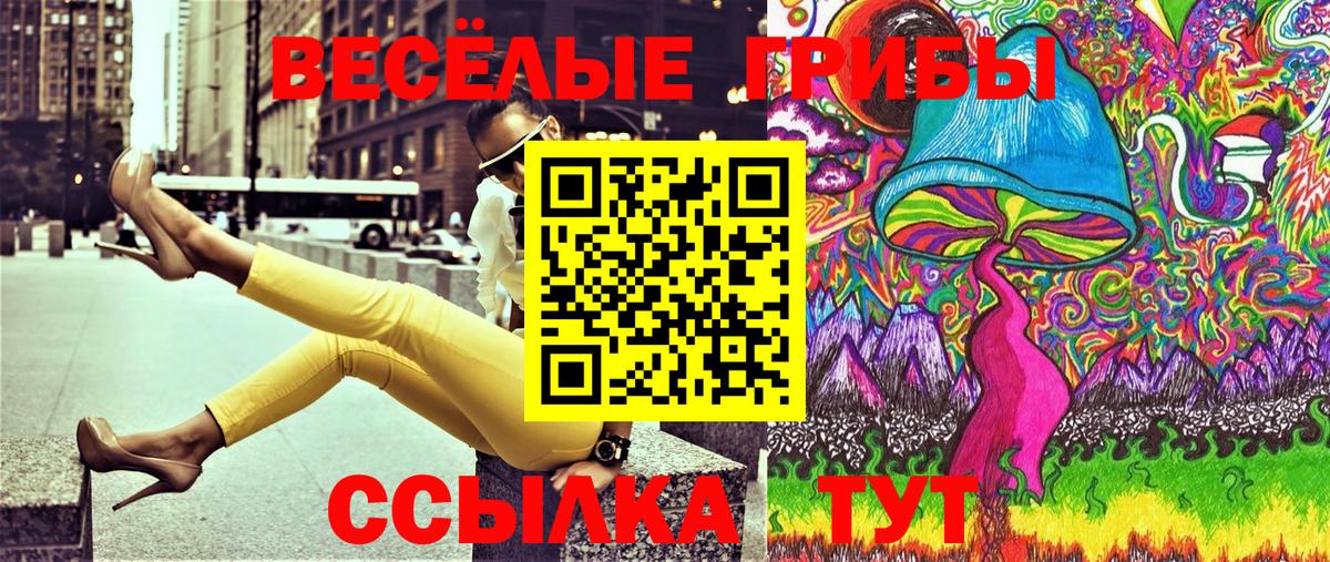Псилоцибиновые грибы мицелий Зеленогорск